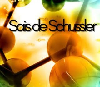 capa de curso de homeopatia e sais de schussler